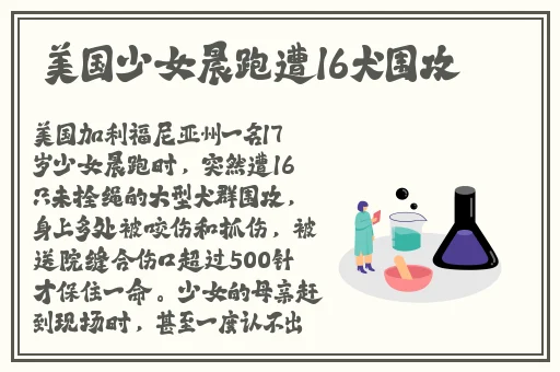 中文字幕亚洲精品无码中文字幕